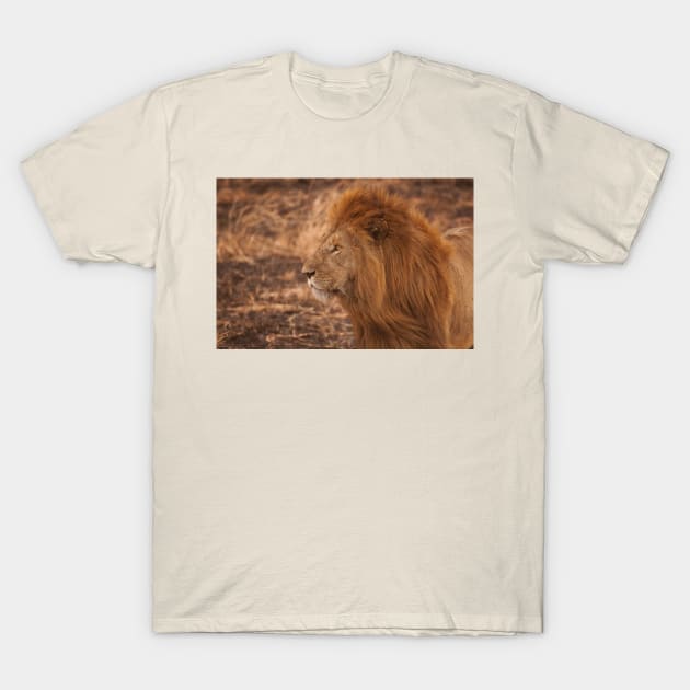 Lion king of the forest T-Shirt by alexposters
